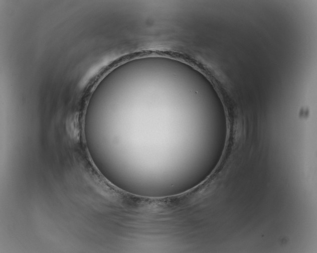 X0000111391262200907171238