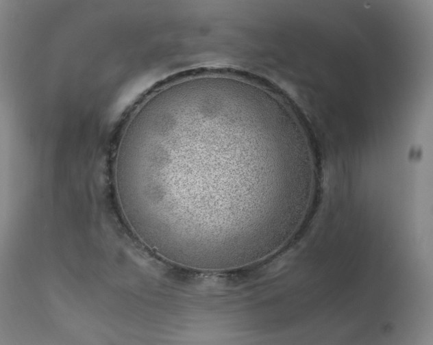 X0000111391263200907171238