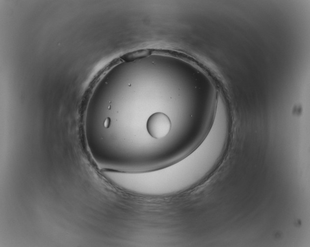 X0000111391264200907171238