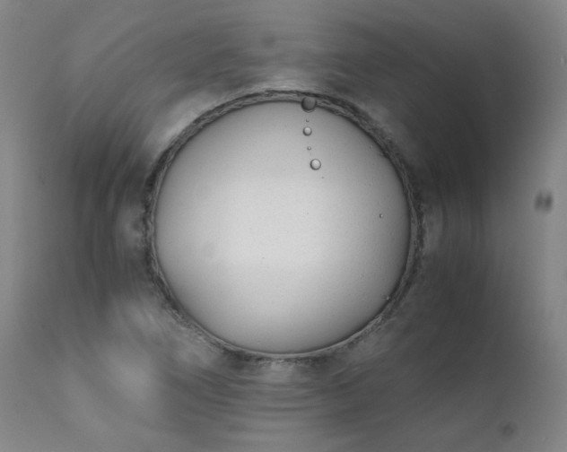 X0000111391266200907171237