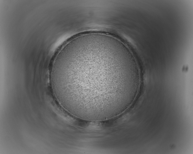 X0000111391267200907171237