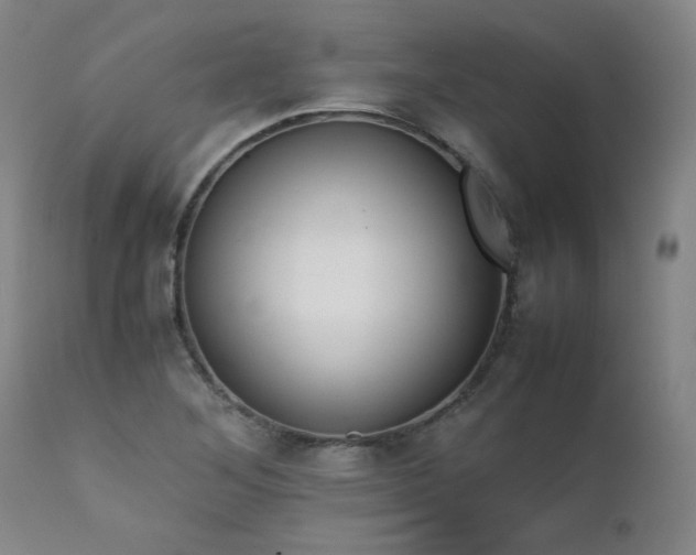 X0000111391268200907171237