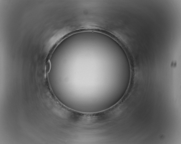 X0000111391269200907171237