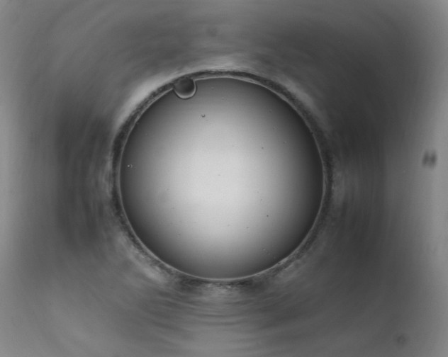 X0000111391270200907171237