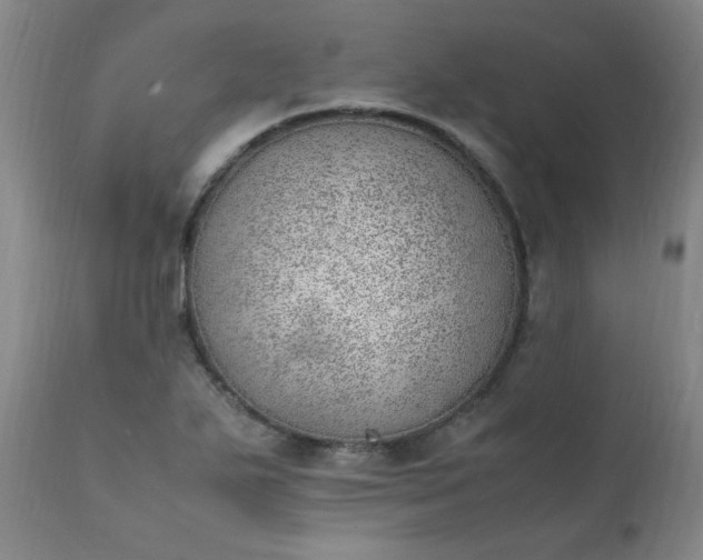 X0000111391271200907171237