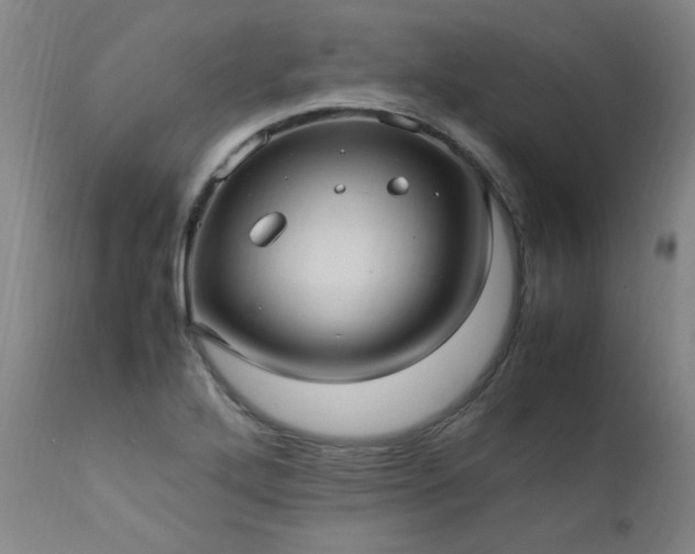 X0000111391272200907171237