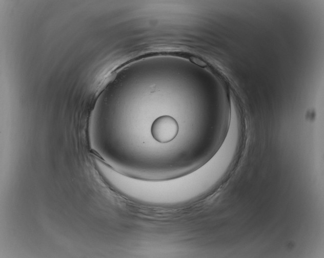 X0000111391273200907171237