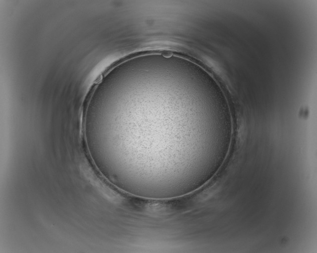 X0000111391275200907171237