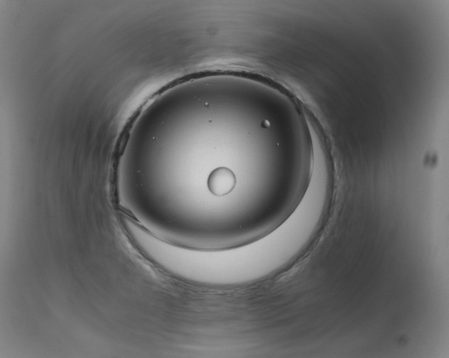 X0000111391277200907171237