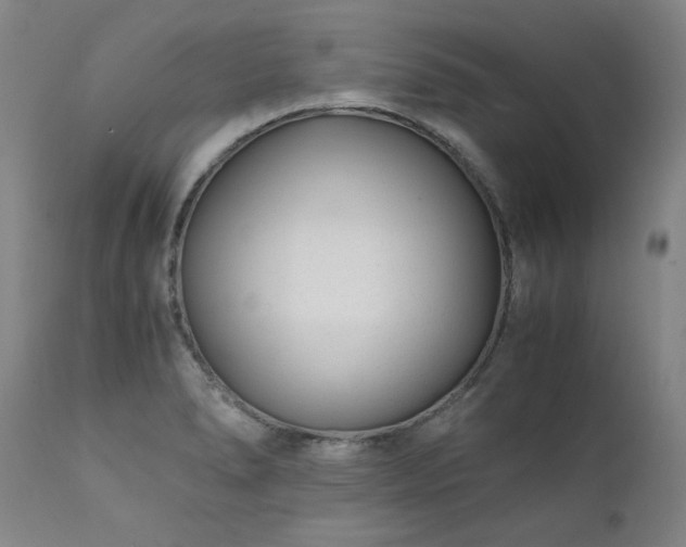 X0000111391278200907171237