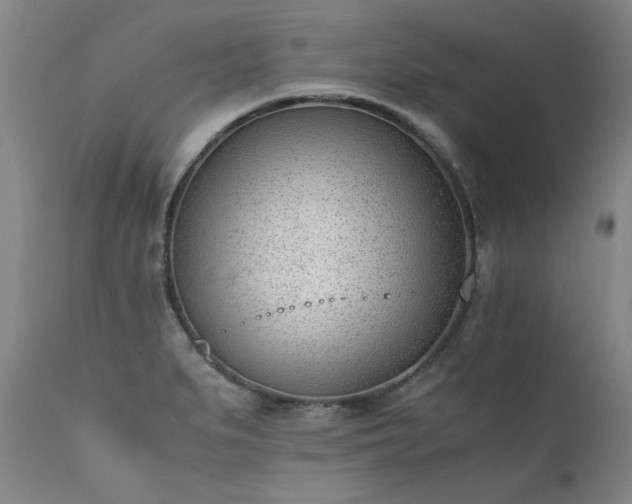 X0000111391279200907171237