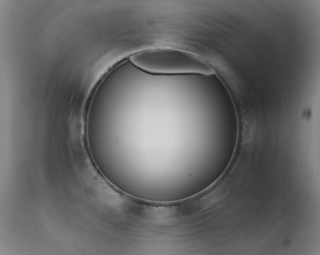 X0000111391280200907171237