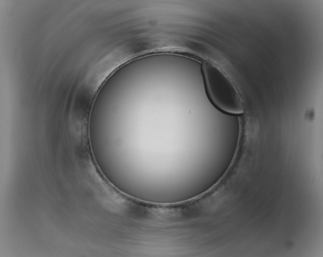 X0000111391281200907171237