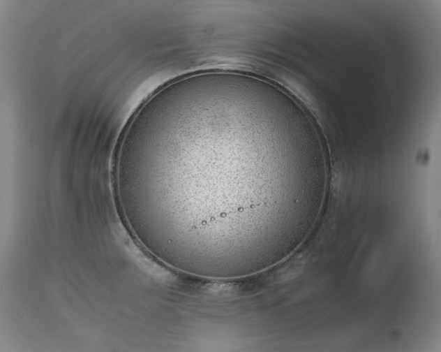 X0000111391283200907171237