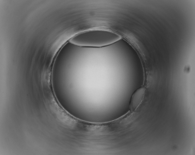 X0000111391284200907171237