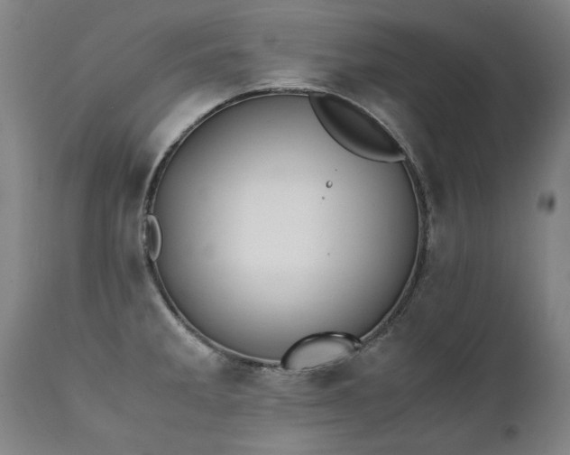 X0000111391285200907171237