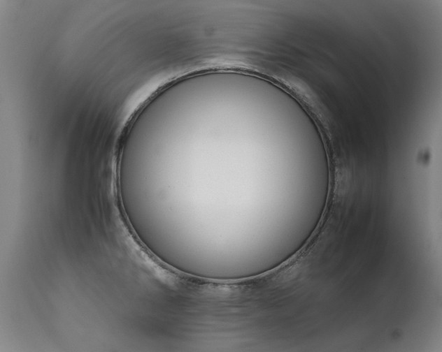 X0000111391286200907171237