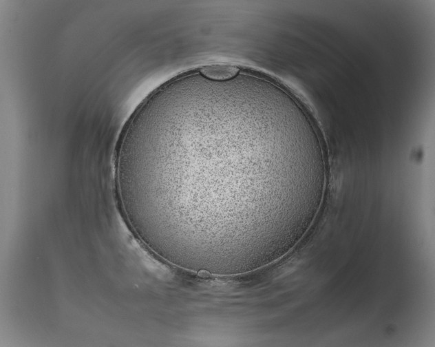 X0000111391287200907171237