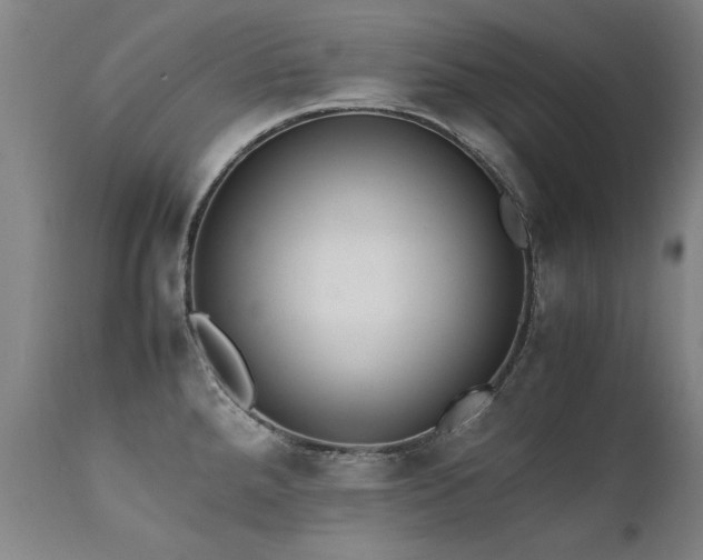 X0000111391288200907171237