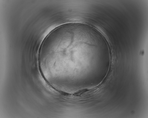 X0000111391291200907171237