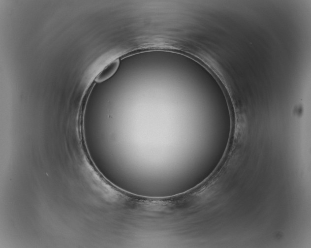 X0000111391293200907171237