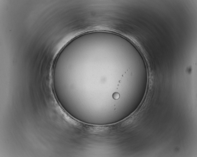 X0000111391294200907171237