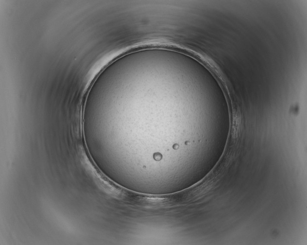 X0000111391295200907171237