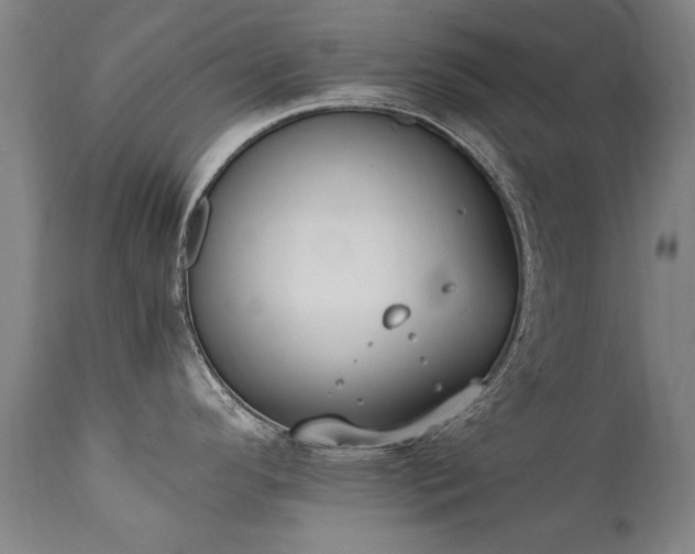 X0000111391296200907171237