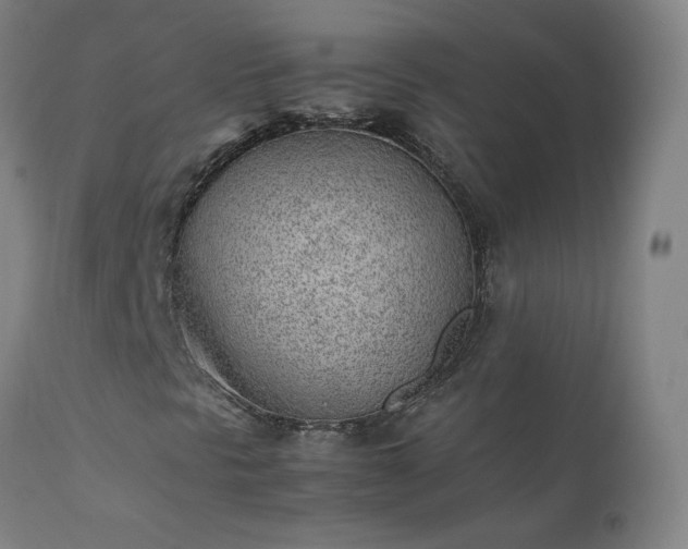 X0000111391297200907171236