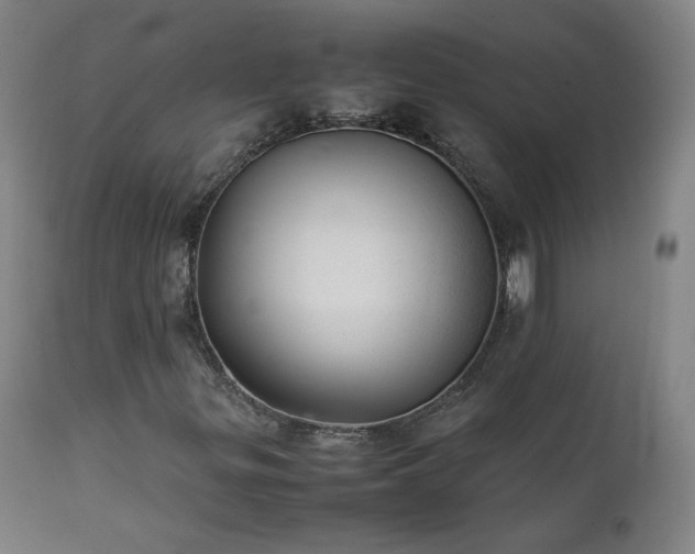 X0000111391299200907171236