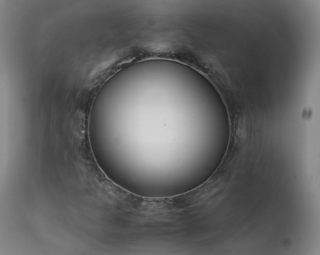 X0000111391301200907171236