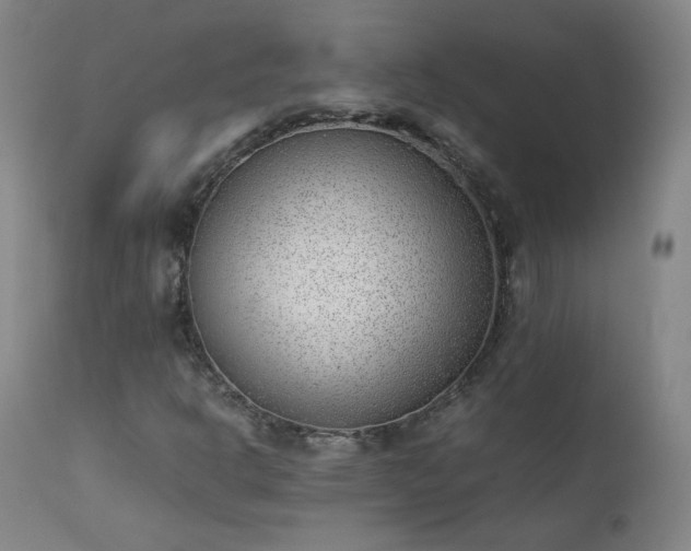 X0000111391302200907171236