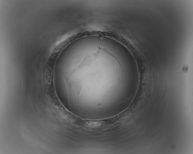 X0000111391303200907171236