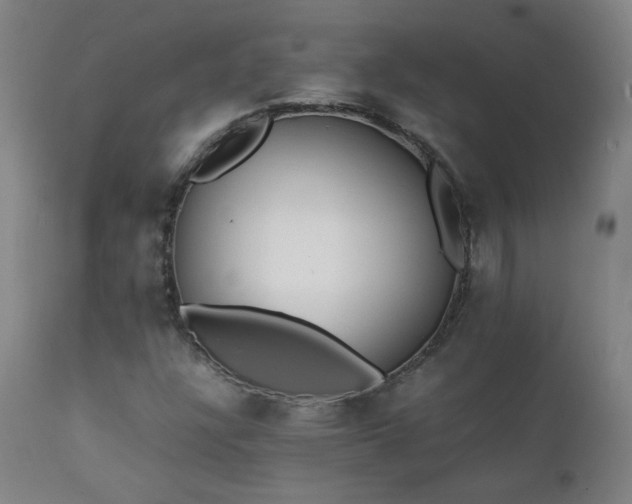 X0000111391304200907171236