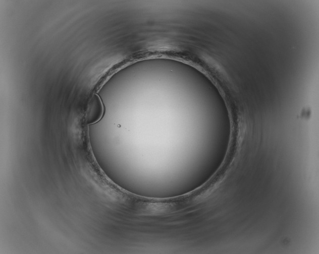 X0000111391305200907171236