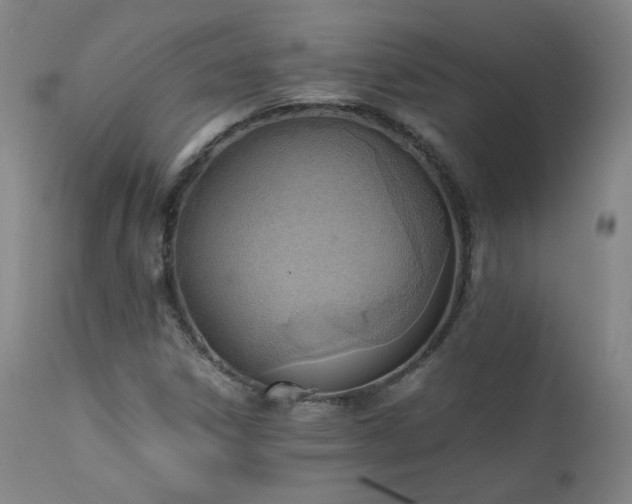 X0000111391306200907171236