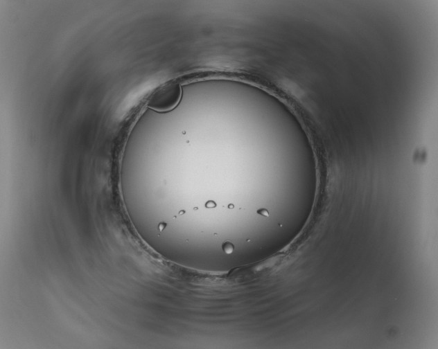 X0000111391307200907171236