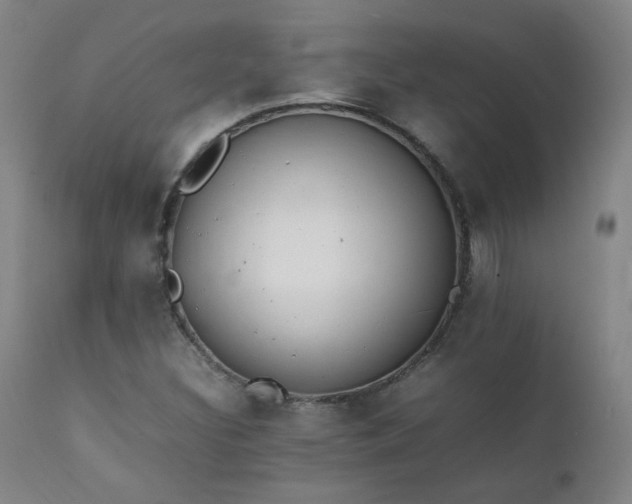 X0000111391308200907171236