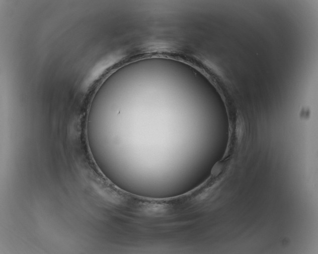 X0000111391309200907171236