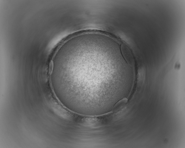 X0000111391310200907171236