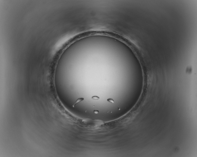 X0000111391311200907171236