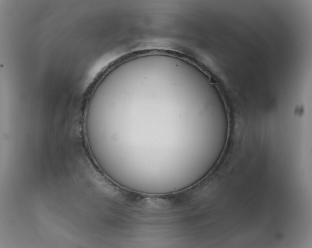 X0000111391312200907171236