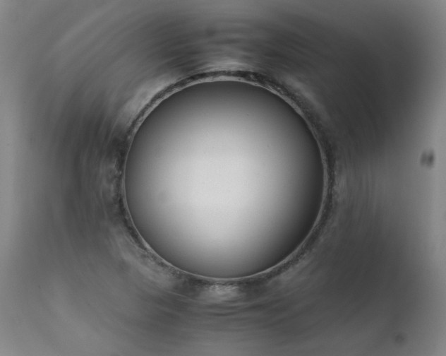 X0000111391313200907171236