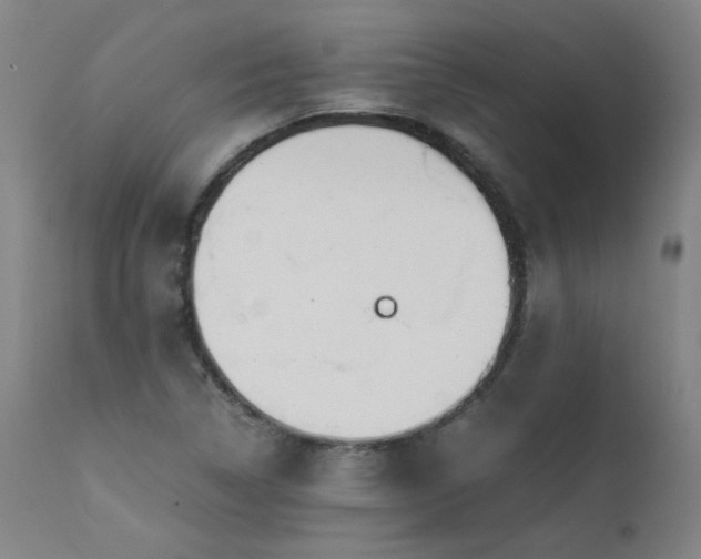 X0000111391314200907171236