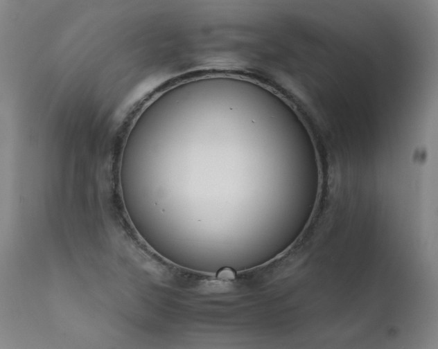 X0000111391315200907171236