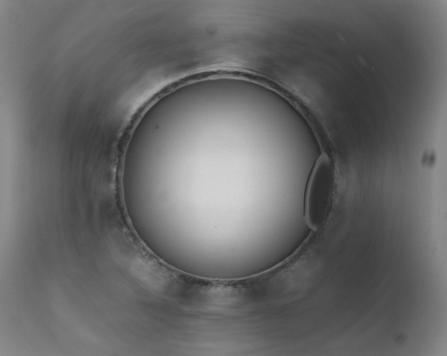 X0000111391316200907171237