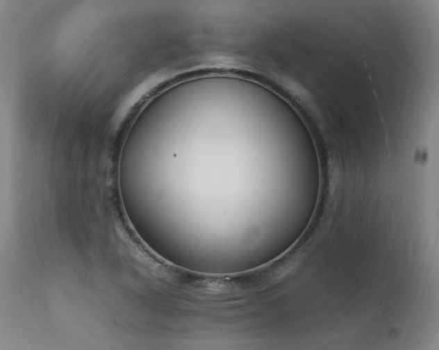 X0000111391318200907171237