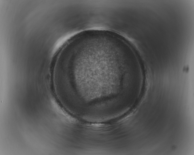 X0000111391319200907171237