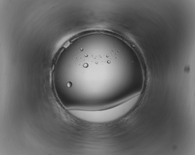 X0000111391320200907171237