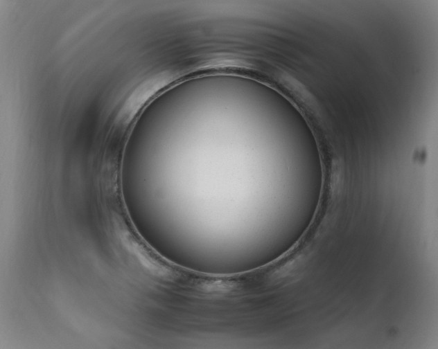 X0000111391321200907171237